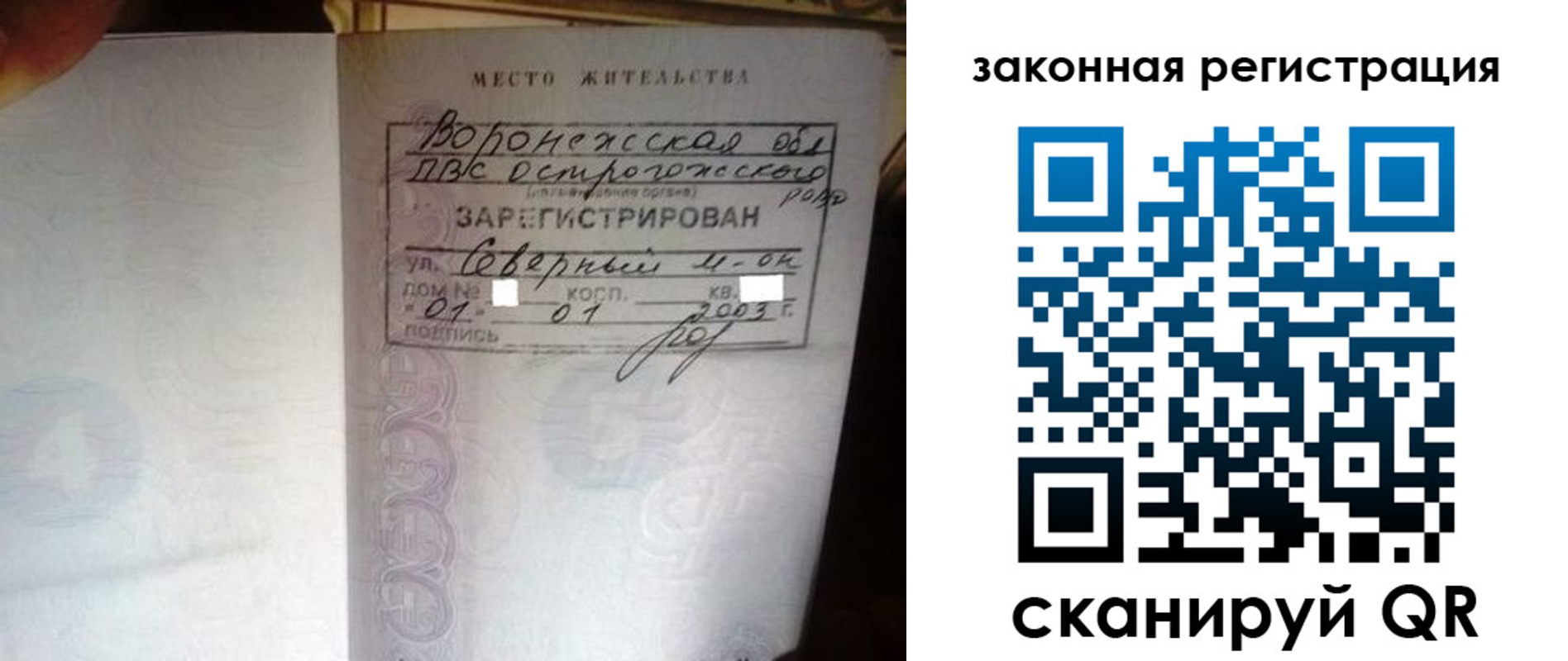 прописка поиск в Котово